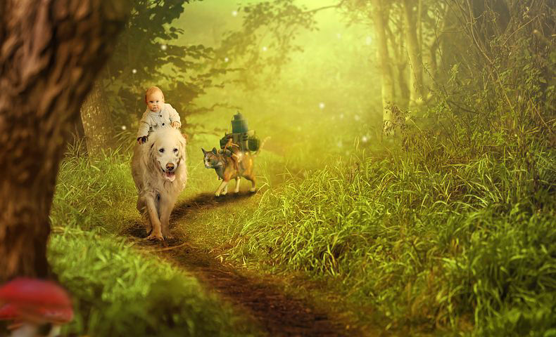 Kind reist auf Hund im Märchenwald