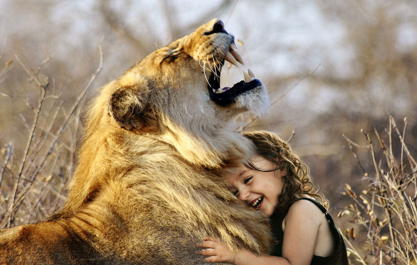 Mädchen hat Vertrauen zu Löwen
